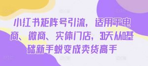 小红书矩阵号引流，适用于电商、微商、实体门店，30天从0基础新手蜕变成卖货高手-吾藏分享