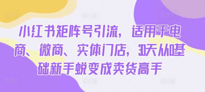 小红书矩阵号引流，适用于电商、微商、实体门店，30天从0基础新手蜕变成卖货高手-吾藏分享