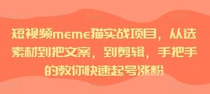 短视频meme猫实战项目，从选素材到把文案，到剪辑，手把手的教你快速起号涨粉-吾藏分享