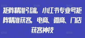 矩阵精准引流，小红书专业号矩阵精准获客，电商、微商、门店获客神技-吾藏分享