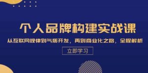 个人品牌构建实战课：从互联网规律到气质开发，再到商业化之路，全程解析-吾藏分享