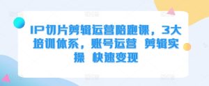 IP切片剪辑运营陪跑课，3大培训体系，账号运营 剪辑实操 快速变现-吾藏分享