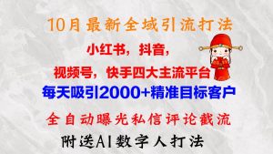 10月最新小红书，抖音，视频号，快手四大平台全域引流，，每天吸引2000…-吾藏分享