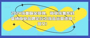 2024流量吸金变现，商业流量密码营销商业品牌定位引流品运营逻辑(图文)-吾藏分享