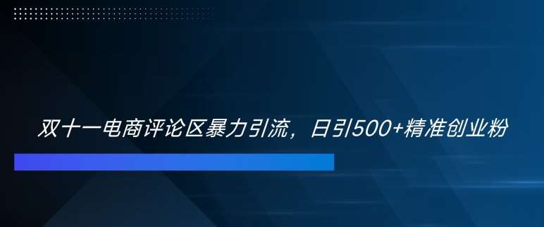 双十一电商评论区暴力引流，日引500+精准创业粉【揭秘】-吾藏分享