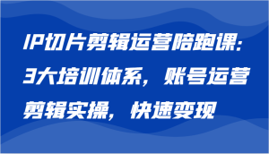 IP切片剪辑运营陪跑课，3大培训体系：账号运营 剪辑实操 快速变现-吾藏分享