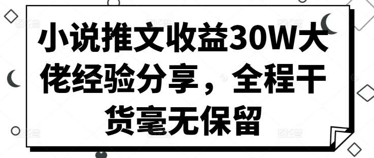 小说推文收益30W大佬经验分享，全程干货毫无保留-吾藏分享