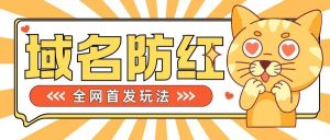 0基础搭建域名防红告别被封风险，学会可对外接单，一单收200+【揭秘】-吾藏分享