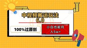 中视频搬运玩法6.0，利用软件双重去重，100%过原创，小白也能月入5w+-吾藏分享