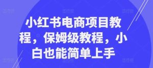 小红书电商项目教程，保姆级教程，小白也能简单上手-吾藏分享