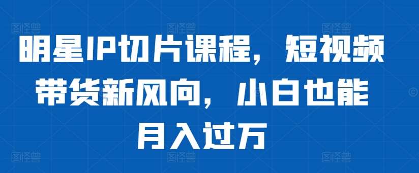 明星IP切片课程，短视频带货新风向，小白也能月入过万-吾藏分享