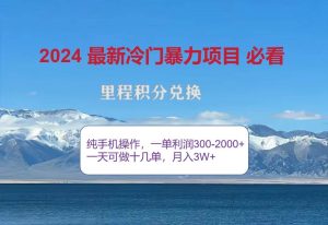 2024惊爆冷门暴利！出行高峰来袭，里程积分，高爆发期，一单300+—2000…-吾藏分享