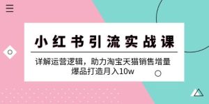 小红书引流实战课：详解运营逻辑，助力淘宝天猫销售增量，爆品打造月入10w-吾藏分享