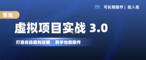 虚拟项目实战3.0，打造自动盈利店铺，可长期操作投入低，新手也能操作-吾藏分享