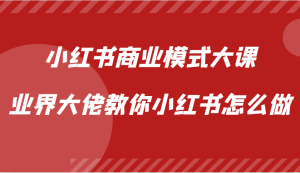 小红书商业模式大课，业界大佬教你小红书怎么做【视频课】-吾藏分享