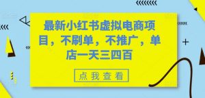 最新小红书虚拟电商项目，不刷单，不推广，单店一天三四百-吾藏分享