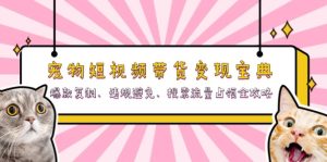 宠物短视频带货变现宝典：爆款复制、违规避免、搜索流量占领全攻略-吾藏分享