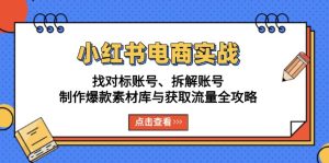 小红书电商实战：找对标账号、拆解账号、制作爆款素材库与获取流量全攻略-吾藏分享