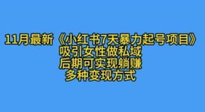 K总部落11月最新小红书7天暴力起号项目，吸引女性做私域-吾藏分享