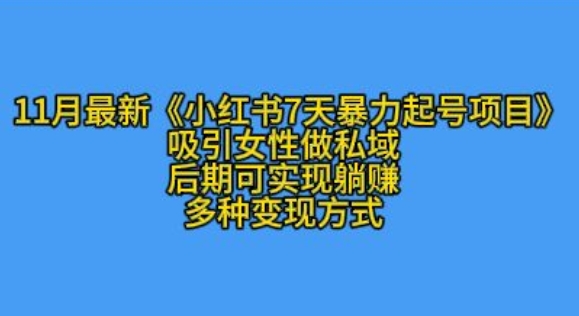 K总部落11月最新小红书7天暴力起号项目，吸引女性做私域-吾藏分享