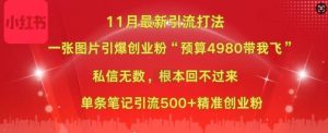 小红书11月最新图片打粉，一张图片引爆创业粉，“预算4980带我飞”，单条引流500+精准创业粉-吾藏分享