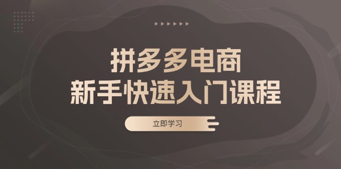 拼多多电商新手快速入门课程：涵盖基础、实战与选款，助力小白轻松上手-吾藏分享