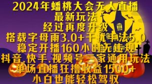 2024年蟠桃大会无人直播最新玩法，稳定开播160小时无违规，抖音、快手、视频号三家通用玩法-吾藏分享