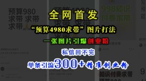 小红书“预算4980带我飞”图片打法，一张图片引爆创业粉，私信回不完，单条引流300+精准创业粉-吾藏分享