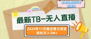 最新TB-无人直播 11月最新，打造你的日不落直播间，轻松月入3W+-吾藏分享