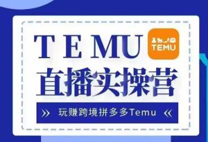 Temu直播实战营，玩赚跨境拼多多Temu，国内电商卷就出海赚美金-吾藏分享