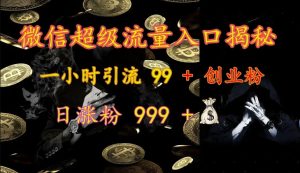 微信超级流量入口揭秘：一小时引流 99 + 创业粉，日涨粉 999 +-吾藏分享