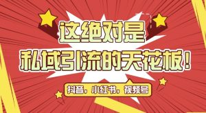 最新首发全平台引流玩法，公域引流私域玩法，轻松获客500+，附引流脚本，克隆截流自热玩法-吾藏分享