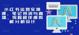 小红书运营实操课，笔记带货与直播，流程超详细拆解分析设计-吾藏分享