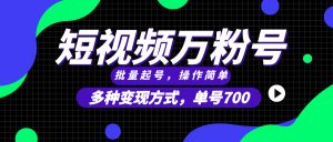 短视频快速涨粉，批量起号，单号700，多种变现途径，可无限扩大来做。-吾藏分享