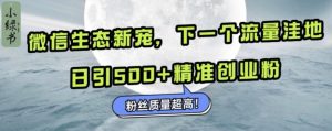 微信生态新宠小绿书：下一个流量洼地，日引500+精准创业粉，粉丝质量超高-吾藏分享