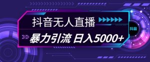 抖音快手视频号全平台通用无人直播引流法，利用图片模板和语音话术，暴力日引流100+创业粉-吾藏分享