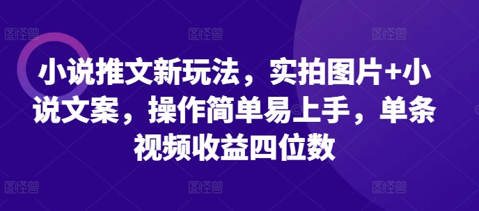 小说推文新玩法，实拍图片+小说文案，操作简单易上手，单条视频收益四位数-吾藏分享