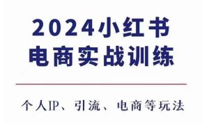 2024小红书电商3.0实战训练，包含个人IP、引流、电商等玩法-吾藏分享