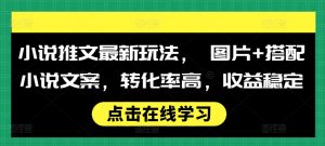 小说推文最新玩法， 图片+搭配小说文案，转化率高，收益稳定-吾藏分享