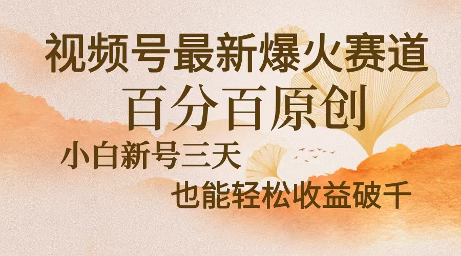 视频号最新爆火赛道，中老年粉深信不疑，百分百原创，新号三天收益轻松…-吾藏分享