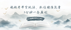 视频号带货玩法，抓住精准流量，5分钟一条原创，小白也能轻松每天500+！-吾藏分享