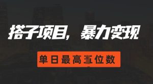 2024搭子玩法，0门槛，暴力变现，单日最高破四位数-吾藏分享