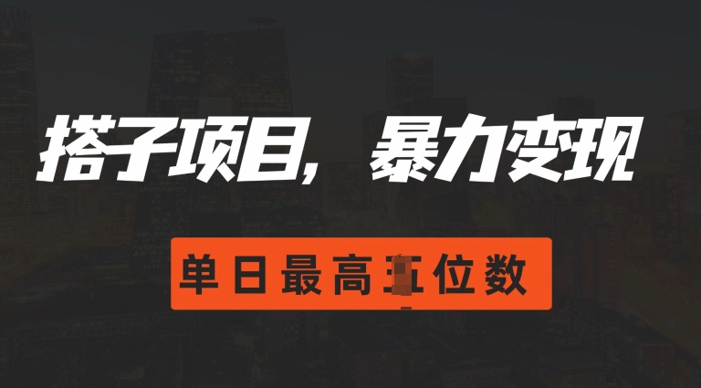 2024搭子玩法，0门槛，暴力变现，单日最高破四位数-吾藏分享