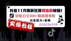 抖音11月最新狂揽创业粉秘籍，轻松日引300+精准创业粉，仅需图片+音频，轻松搞定创业类视频-吾藏分享