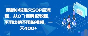 最新小说推文SOP全流程，从0~1保姆级教程，不用出镜不用拍视频，一天400+-吾藏分享