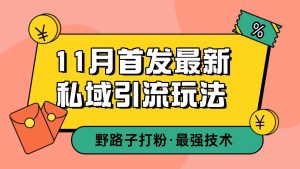 11月首发最新私域引流玩法，自动克隆爆款一键改写截流自热一体化 日引300+精准粉-吾藏分享