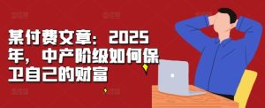 某付费文章：2025年，中产阶级如何保卫自己的财富-吾藏分享