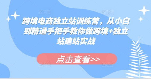 跨境电商独立站训练营，从小白到精通手把手教你做跨境+独立站建站实战-吾藏分享