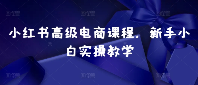 小红书高级电商课程，新手小白实操教学-吾藏分享