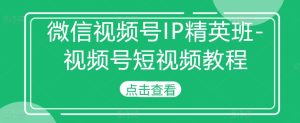 微信视频号IP精英班-视频号短视频教程-吾藏分享